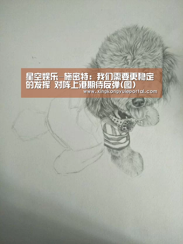 星空娱乐-施密特:我们需要更稳定的发挥 对阵上港期待反弹(图)(图1) 星空娱乐
