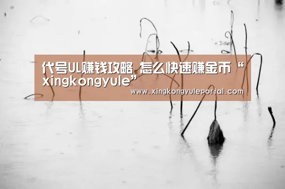 星空娱乐