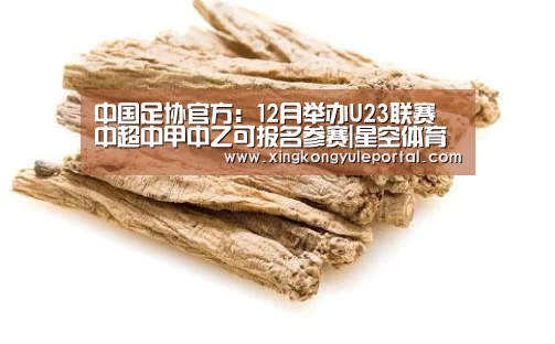 中国足协官方:12月举办U23联赛 中超中甲中乙可报名参赛|星空体育(图2) 中国足协官方:12月举办U23联赛 中超中甲中乙可报名参赛|星空体育(图2)
