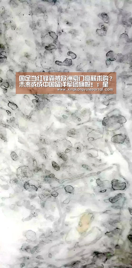 国足当红锋霸被欧洲豪门高薪求购?未来或成中国留洋军团旗帜!:星空体育网站(图1) 星空体育网站