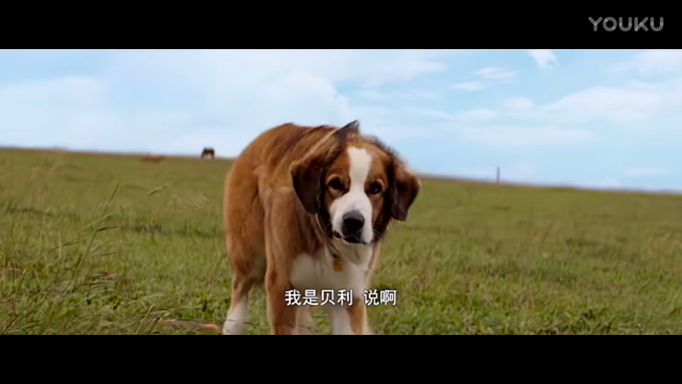 前中超最佳教练被外援直言不懂球 未来或执教辽足证明自己?‘星空体育’(图1) 星空娱乐