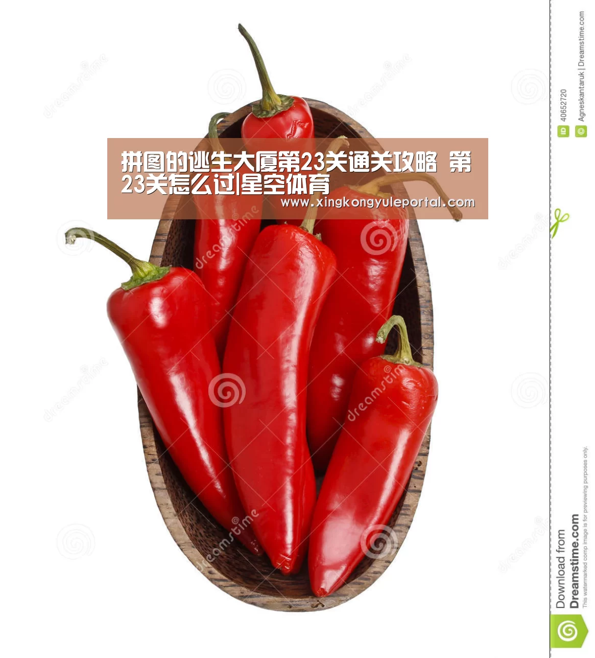 拼图的逃生大厦第23关通关攻略 第23关怎么过|星空体育(图3) 星空体育网站